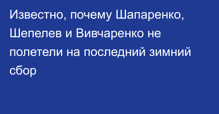 Известно, почему Шапаренко, Шепелев и Вивчаренко не полетели на последний зимний сбор