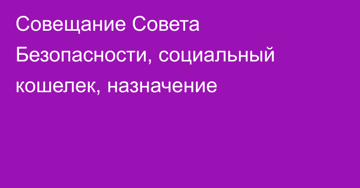 Совещание Совета Безопасности, социальный кошелек, назначение