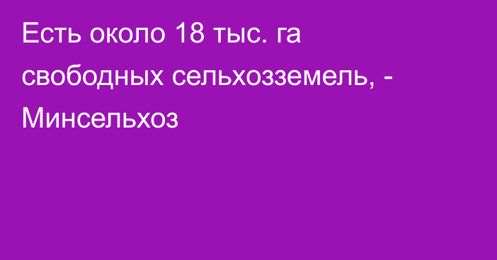 Есть около 18 тыс. га свободных сельхозземель, - Минсельхоз