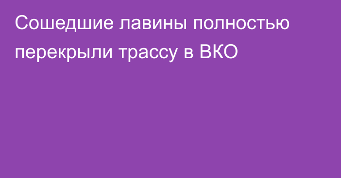 Сошедшие лавины полностью перекрыли трассу в ВКО