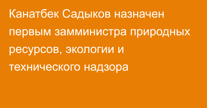 Канатбек Садыков назначен первым замминистра природных ресурсов, экологии и технического надзора