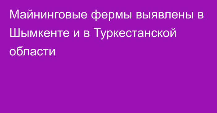 Майнинговые фермы выявлены в Шымкенте и в Туркестанской области