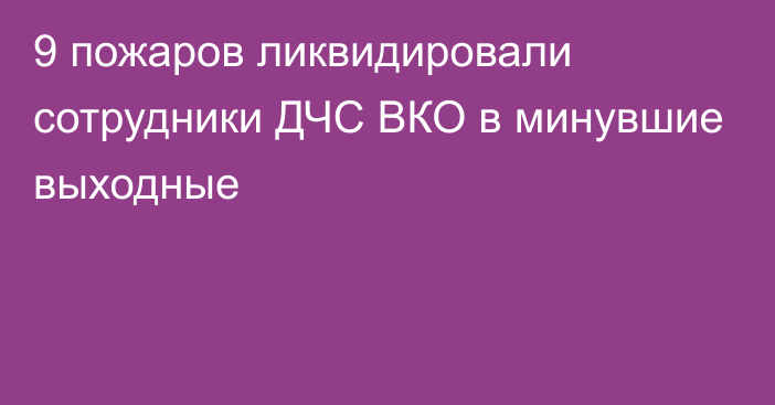 9 пожаров ликвидировали сотрудники ДЧС ВКО в минувшие выходные