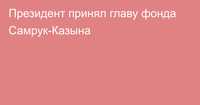 Президент принял главу фонда Самрук-Казына