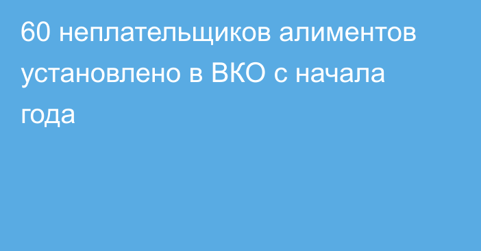 60 неплательщиков алиментов установлено в ВКО с начала года