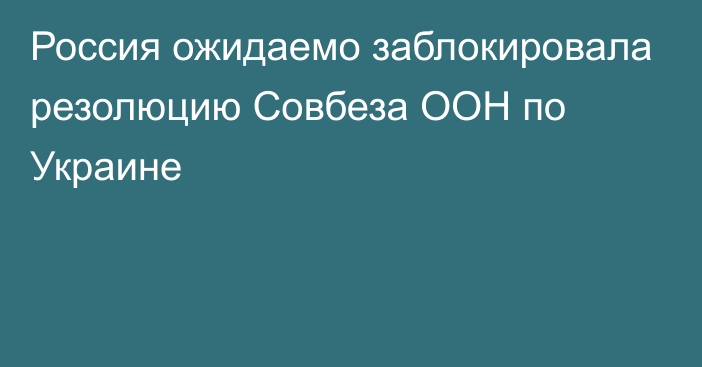 Россия ожидаемо заблокировала резолюцию Совбеза ООН по Украине