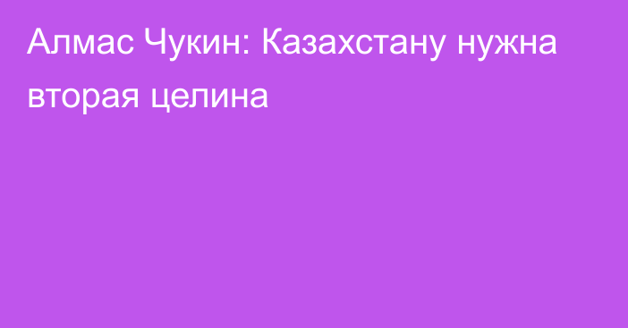 Алмас Чукин: Казахстану нужна вторая целина