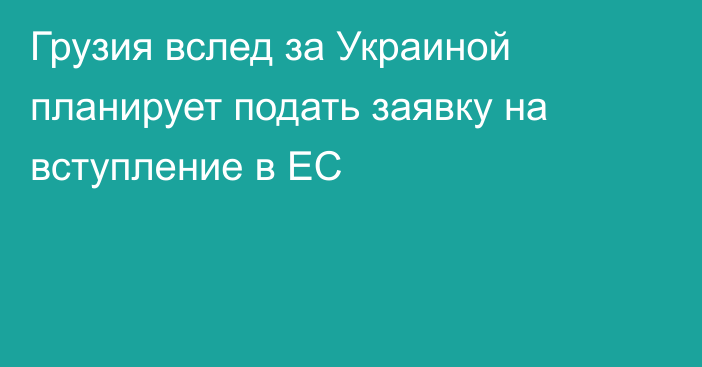 Грузия вслед за Украиной планирует подать заявку на вступление в ЕС