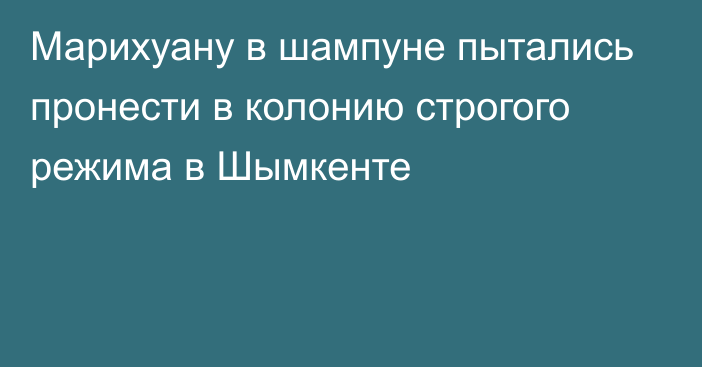 Марихуану в шампуне пытались пронести в колонию строгого режима в Шымкенте