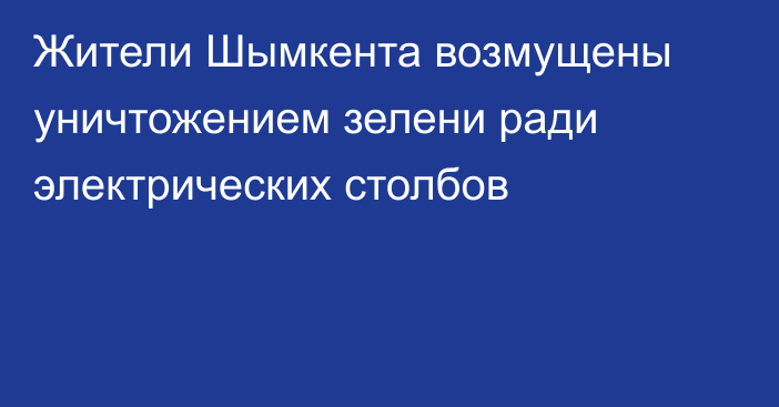 Жители Шымкента возмущены уничтожением зелени ради электрических столбов