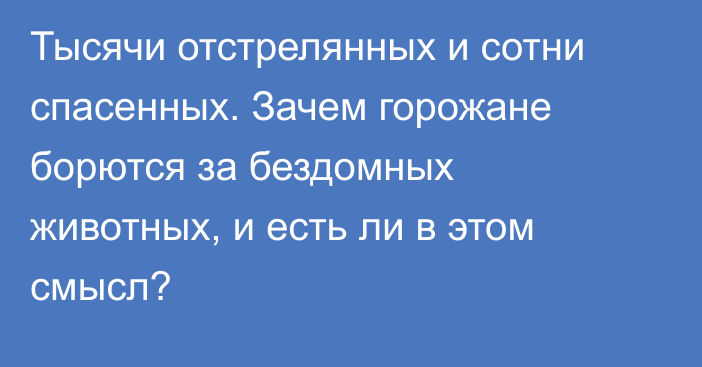 Тысячи отстрелянных и сотни спасенных. Зачем горожане борются за бездомных животных, и есть ли в этом смысл?