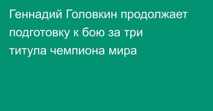 Геннадий Головкин продолжает подготовку к бою за три титула чемпиона мира