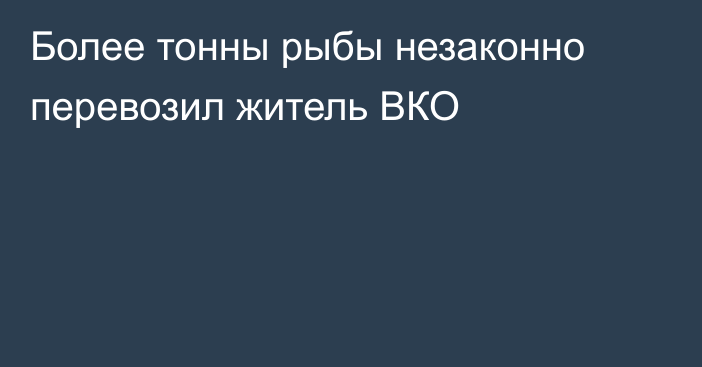 Более тонны рыбы незаконно перевозил житель ВКО