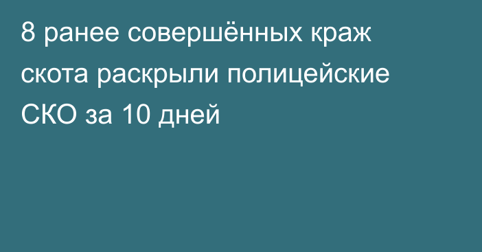 8 ранее совершённых краж скота раскрыли полицейские СКО за 10 дней