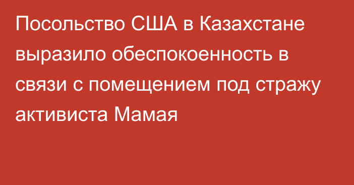 Посольство США в Казахстане выразило обеспокоенность в связи с помещением под стражу активиста Мамая