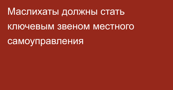 Маслихаты должны стать ключевым звеном местного самоуправления