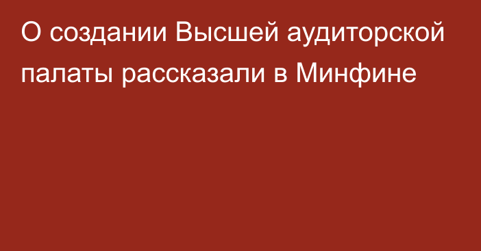 О создании Высшей аудиторской палаты рассказали в Минфине