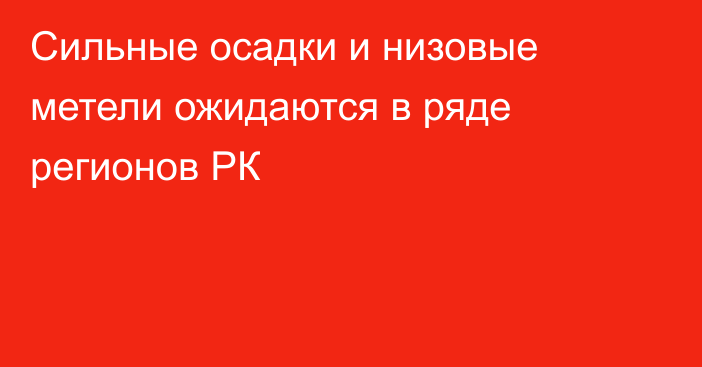 Сильные осадки и низовые метели ожидаются в ряде регионов РК