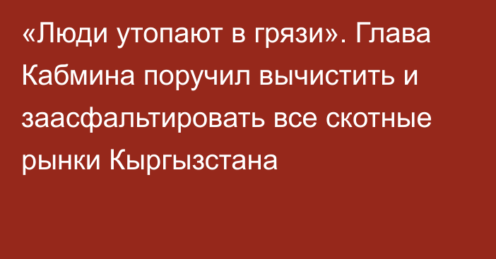 «Люди утопают в грязи». Глава Кабмина поручил вычистить и заасфальтировать все скотные рынки Кыргызстана