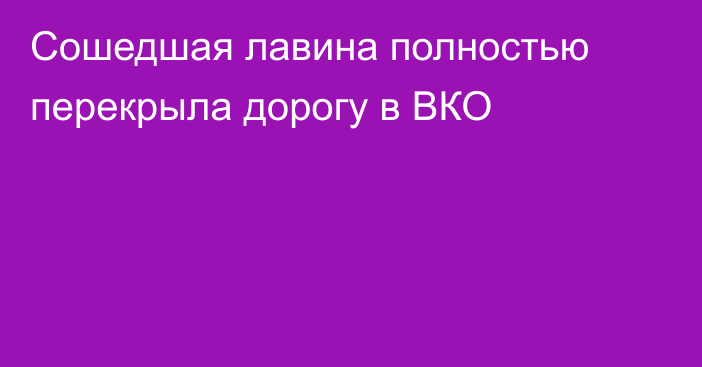 Сошедшая лавина полностью перекрыла дорогу в ВКО