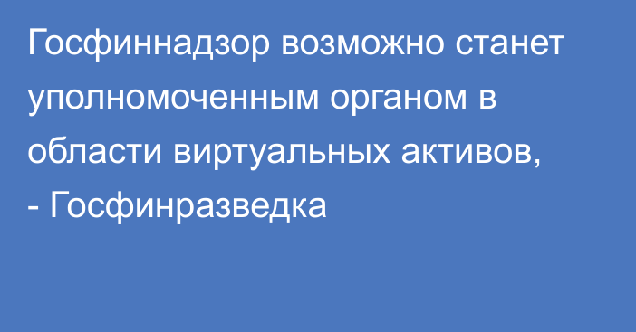 Госфиннадзор возможно станет уполномоченным органом в области виртуальных активов, - Госфинразведка