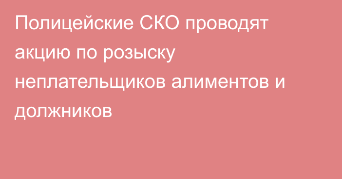 Полицейские СКО проводят акцию по розыску неплательщиков алиментов и должников