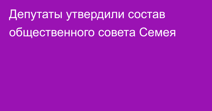 Депутаты утвердили состав общественного совета Семея