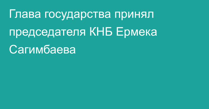 Глава государства принял председателя КНБ Ермека Сагимбаева