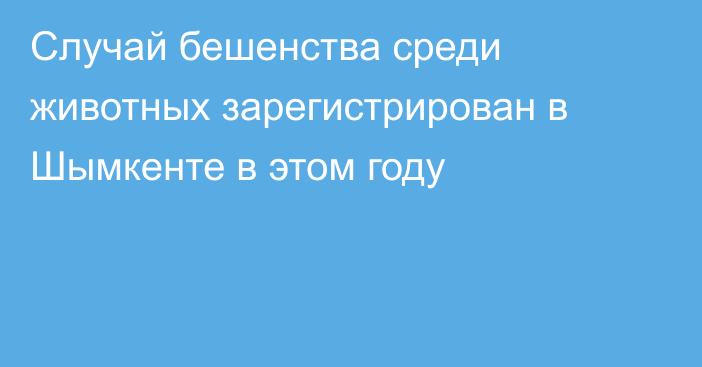 Случай бешенства среди животных зарегистрирован в Шымкенте в этом году