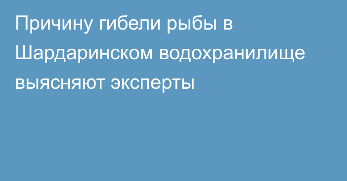 Причину гибели рыбы в Шардаринском водохранилище выясняют эксперты