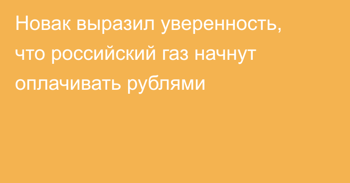 Новак выразил уверенность, что российский газ начнут оплачивать рублями