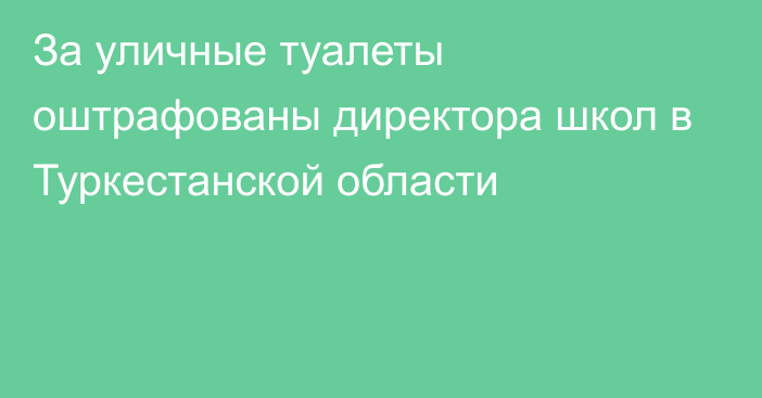 За уличные туалеты оштрафованы директора школ в Туркестанской области