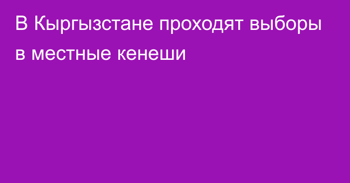 В Кыргызстане проходят выборы в местные кенеши