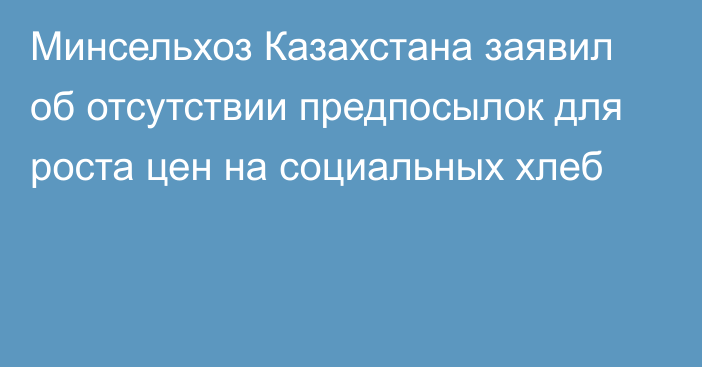 Минсельхоз Казахстана заявил об отсутствии предпосылок для роста цен на социальных хлеб