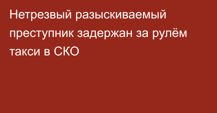 Нетрезвый разыскиваемый преступник задержан за рулём такси в СКО