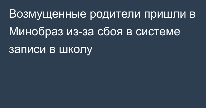 Возмущенные родители пришли в Минобраз из-за сбоя в системе записи в школу