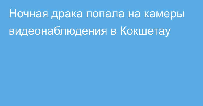 Ночная драка попала на камеры видеонаблюдения в Кокшетау