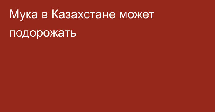 Мука в Казахстане может подорожать