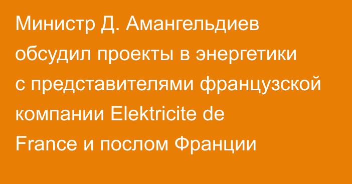 Министр Д. Амангельдиев обсудил проекты в энергетики с представителями французской компании Elektricite de France и послом Франции