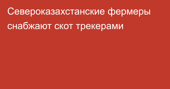 Североказахстанские фермеры снабжают скот трекерами