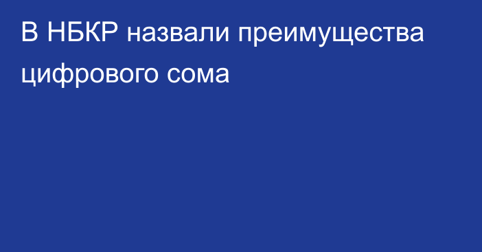 В НБКР назвали преимущества цифрового сома