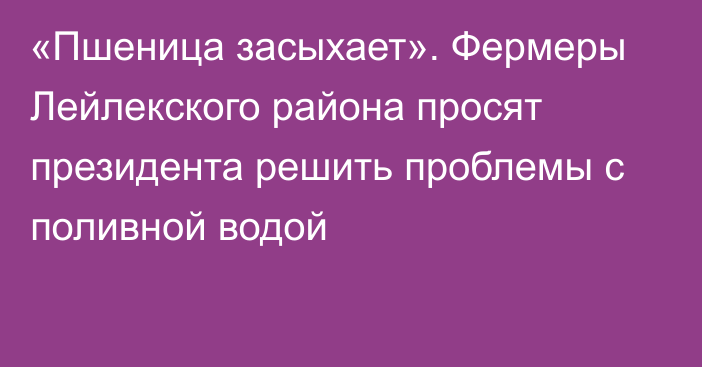 «Пшеница засыхает». Фермеры Лейлекского района просят президента решить проблемы с поливной водой