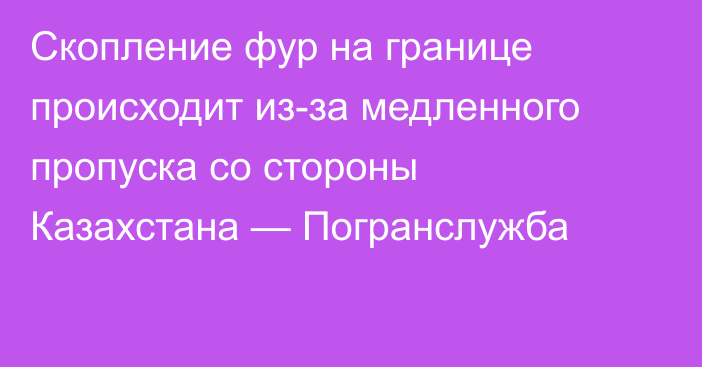 Скопление фур на границе происходит из-за медленного пропуска со стороны Казахстана — Погранслужба