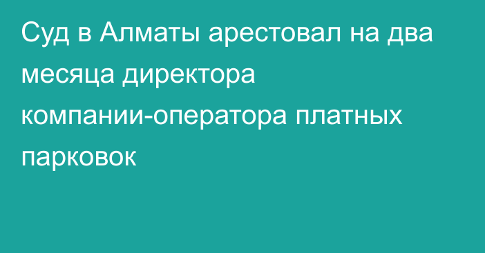 Суд в Алматы арестовал на два месяца директора компании-оператора платных парковок