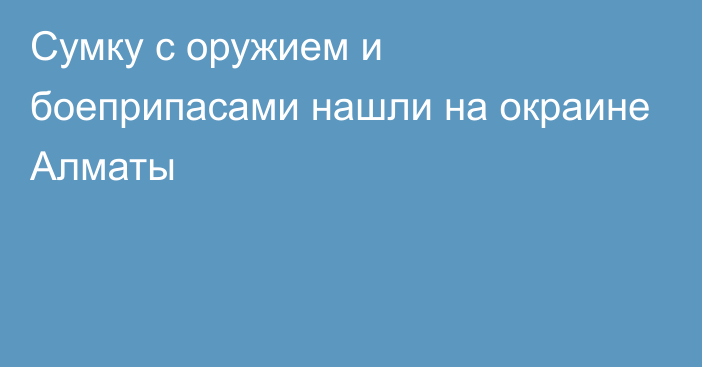 Сумку с оружием и боеприпасами нашли на окраине Алматы