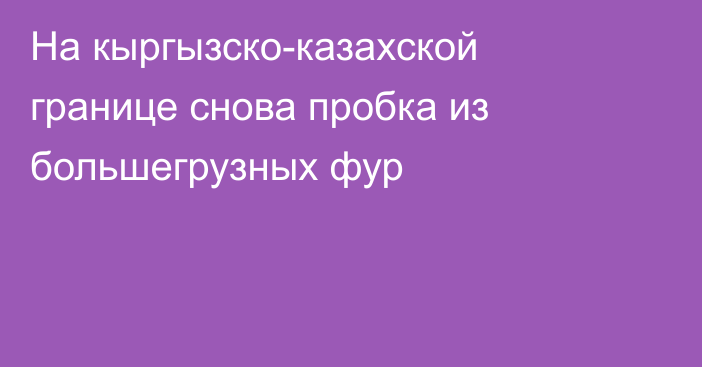 На кыргызско-казахской границе снова пробка из большегрузных фур