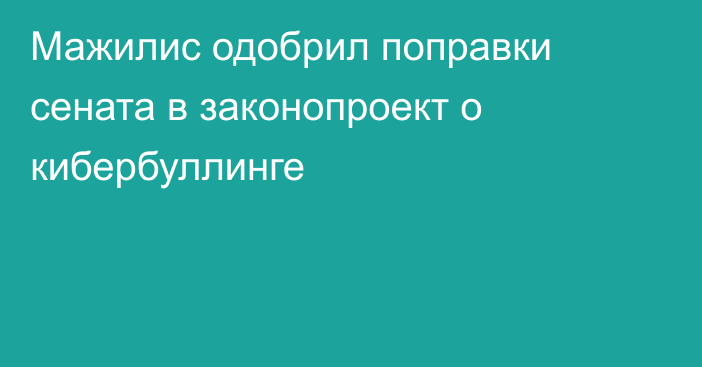 Мажилис одобрил поправки сената в законопроект о кибербуллинге