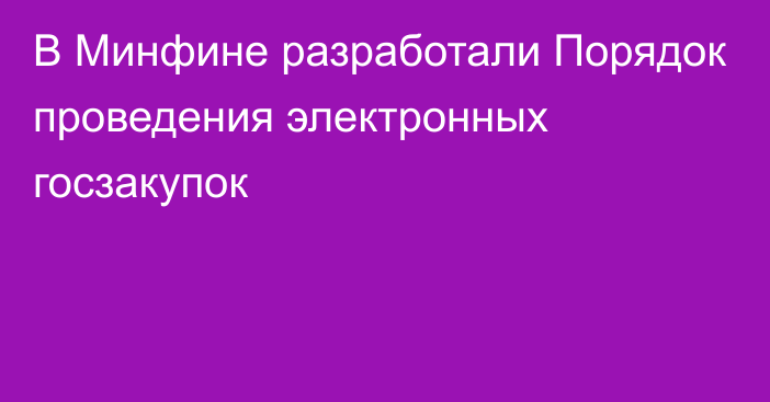 В Минфине разработали Порядок проведения электронных госзакупок