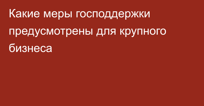 Какие меры господдержки предусмотрены для крупного бизнеса