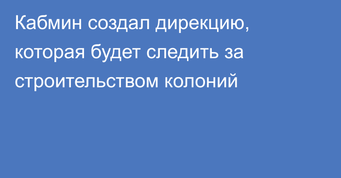 Кабмин создал дирекцию, которая будет следить за строительством колоний